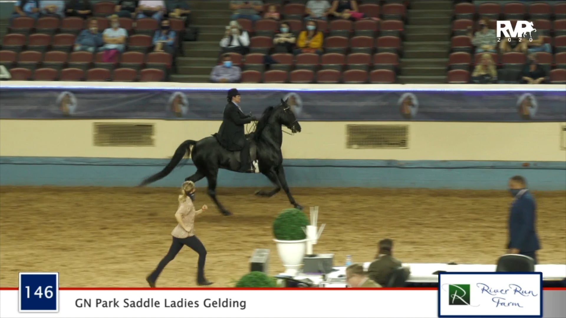 2020 MGN - Class 146 GN Park Saddle Ladies Gelding