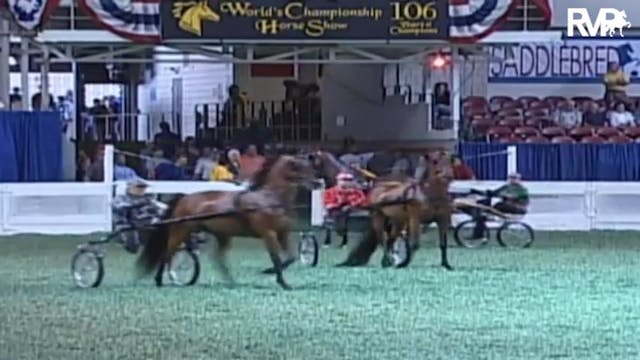 2009 World's Championship Horse Show ...