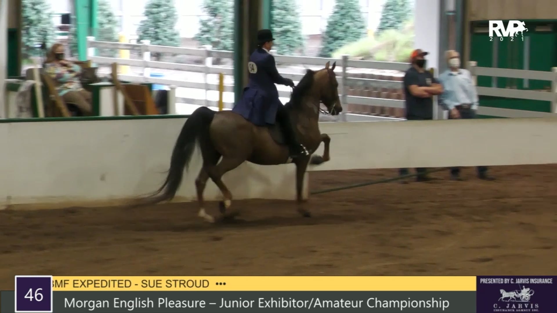 RSP21 - Class 46 - Morgan English Pleasure Jr Exhibitor Amateur Championship