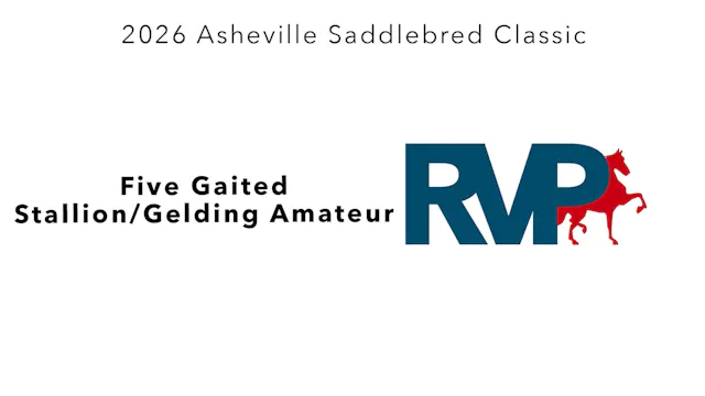 ASC26 - Class 31 - Five Gaited Stalli...