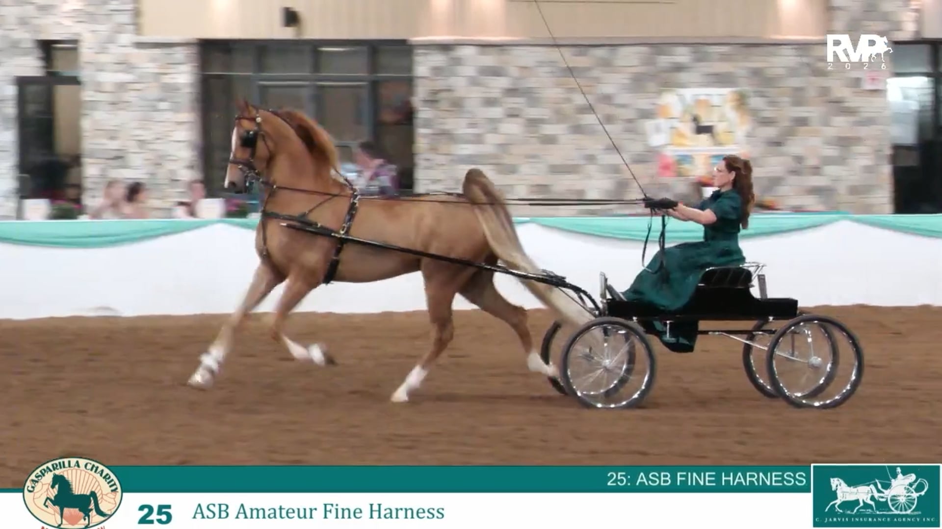 GC26 - Class 25 - ASB Amateur Fine Harness