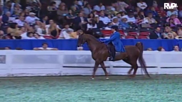 2009 World's Championship Horse Show ...