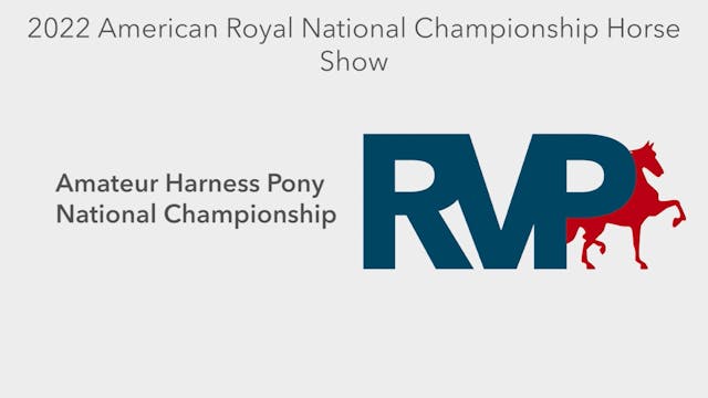 AR22 - Class 151 - Amateur Harness Po...