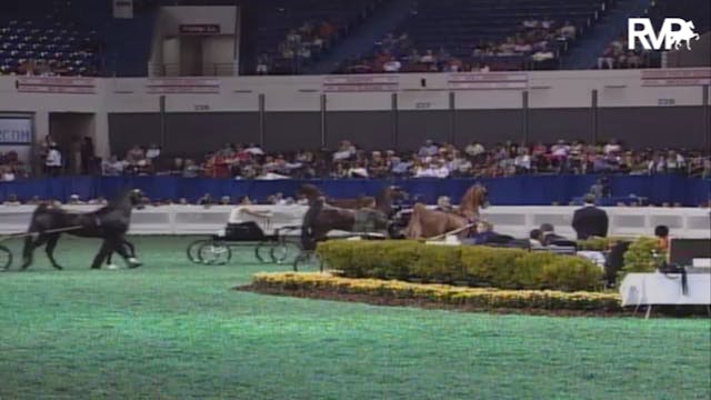 2007 WCHS Class 45 Amateur Ladies' Fi...