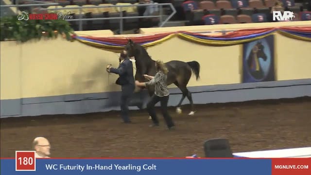 2015 MGN - Class 180 WC Futurity In-H...