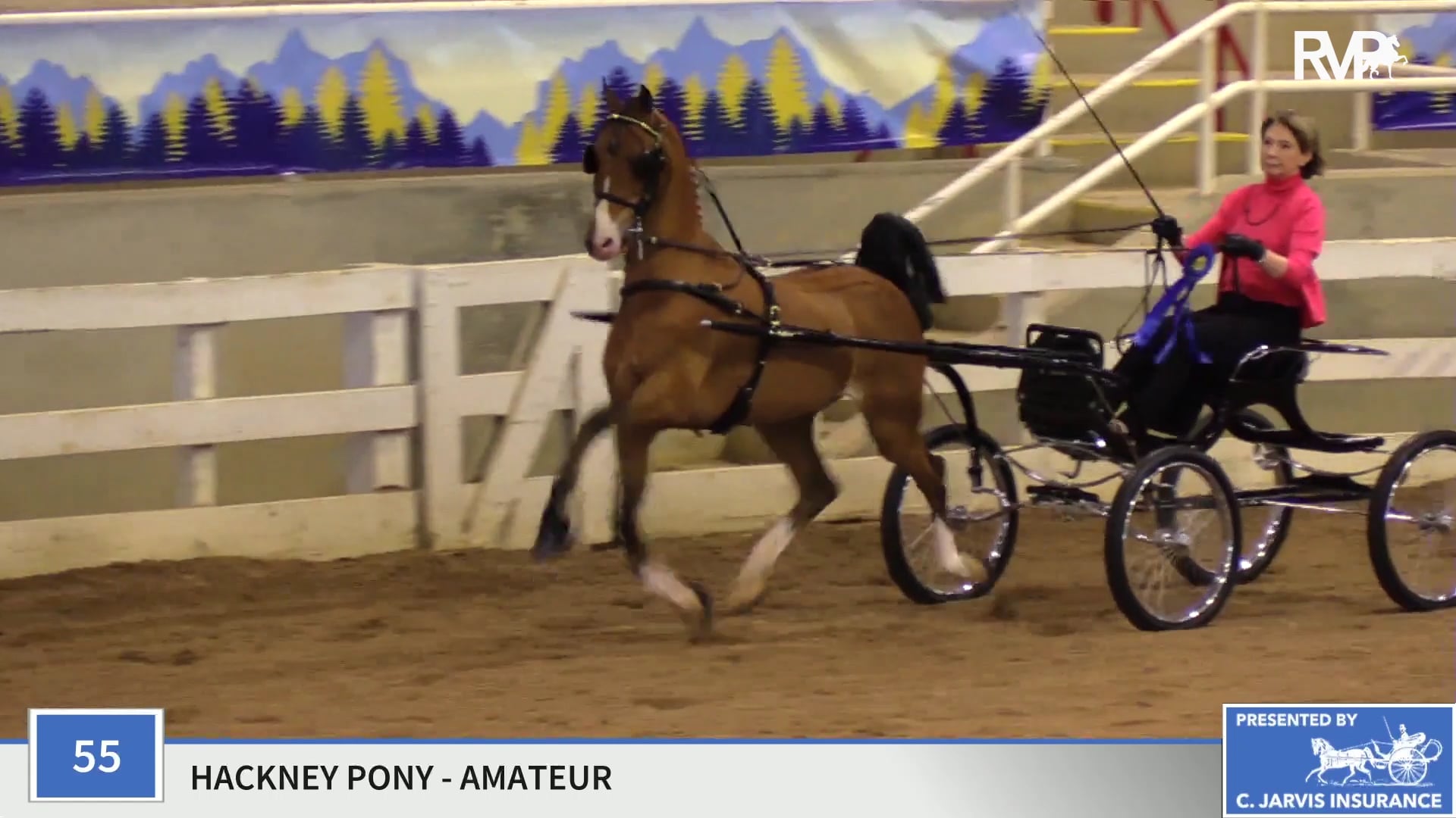 ASC19 - Class 55 - CH Heartland Globe Trotter