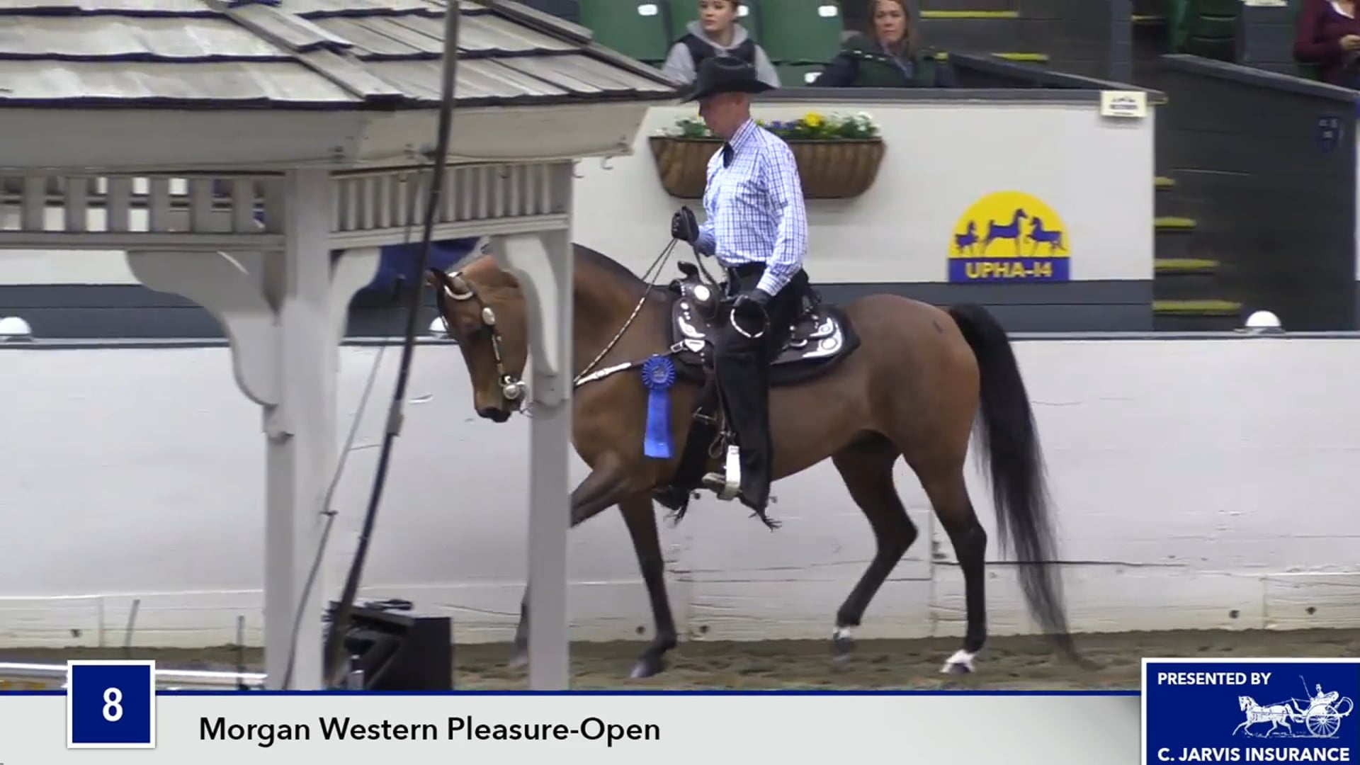 UPHACh14 17 - Ledgefield's Tailored Asset