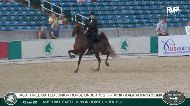 LJL22 - Class 22 - ASB Three Gaited J...