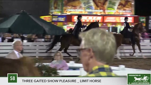 2017 RC - Class 58 Three Gaited Show ...