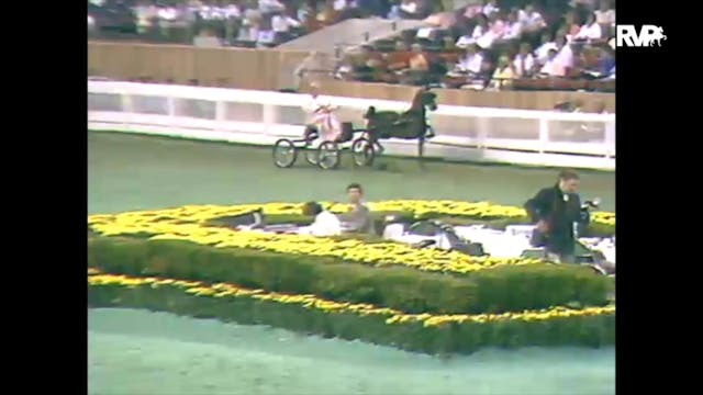1988 WCHS Class 95 Hackney Pony Mares