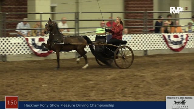 AAC22 - Class 150 -  Hackney Show Ple...