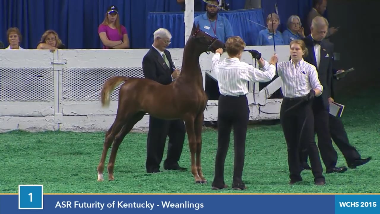 2015 World's Championship Horse Show 1st Saturday Evening