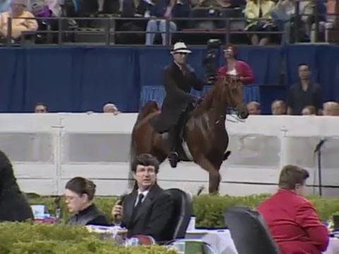 2008 WCHS Class 166 Three Year Old Fi...