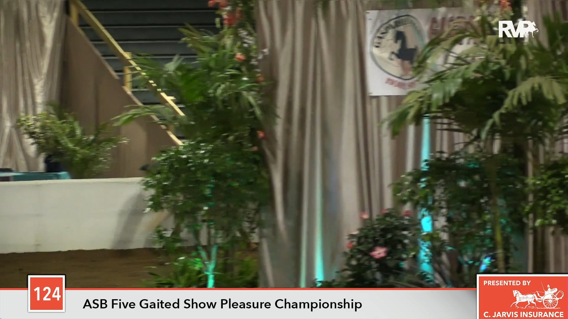 GASP18 - Class 124 - CH Billy Deluxe Championship