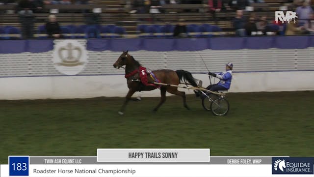 AR22 - Class 183 - Happy Trails Sonny...