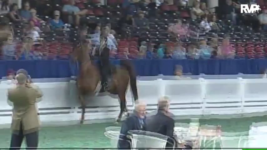 2010 World's Championship Horse Show Class 78 ASB Junior Exhibitor Three Gaited Show Pleasure Rider 13 & Under-Division 2