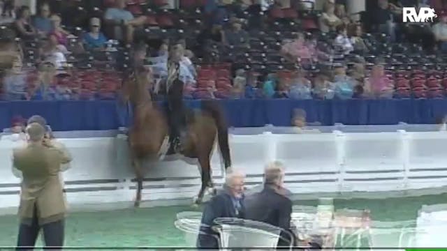 2010 World's Championship Horse Show ...