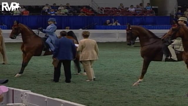 2004 World's Championship Horse Show ...