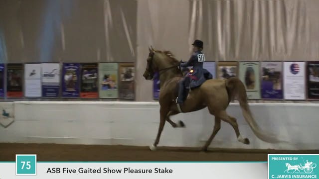 2017UPHA16 - True Blue Cat - Stake 