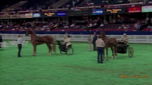2001 WCHS - Class 26 - ASHA Amateur F...
