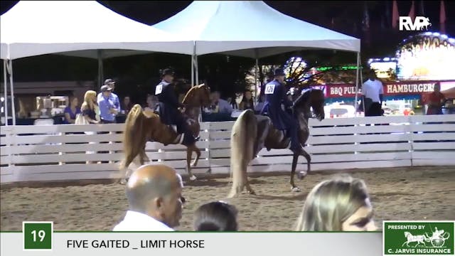 2017 RC - Class 19 Five Gaited Limit ...
