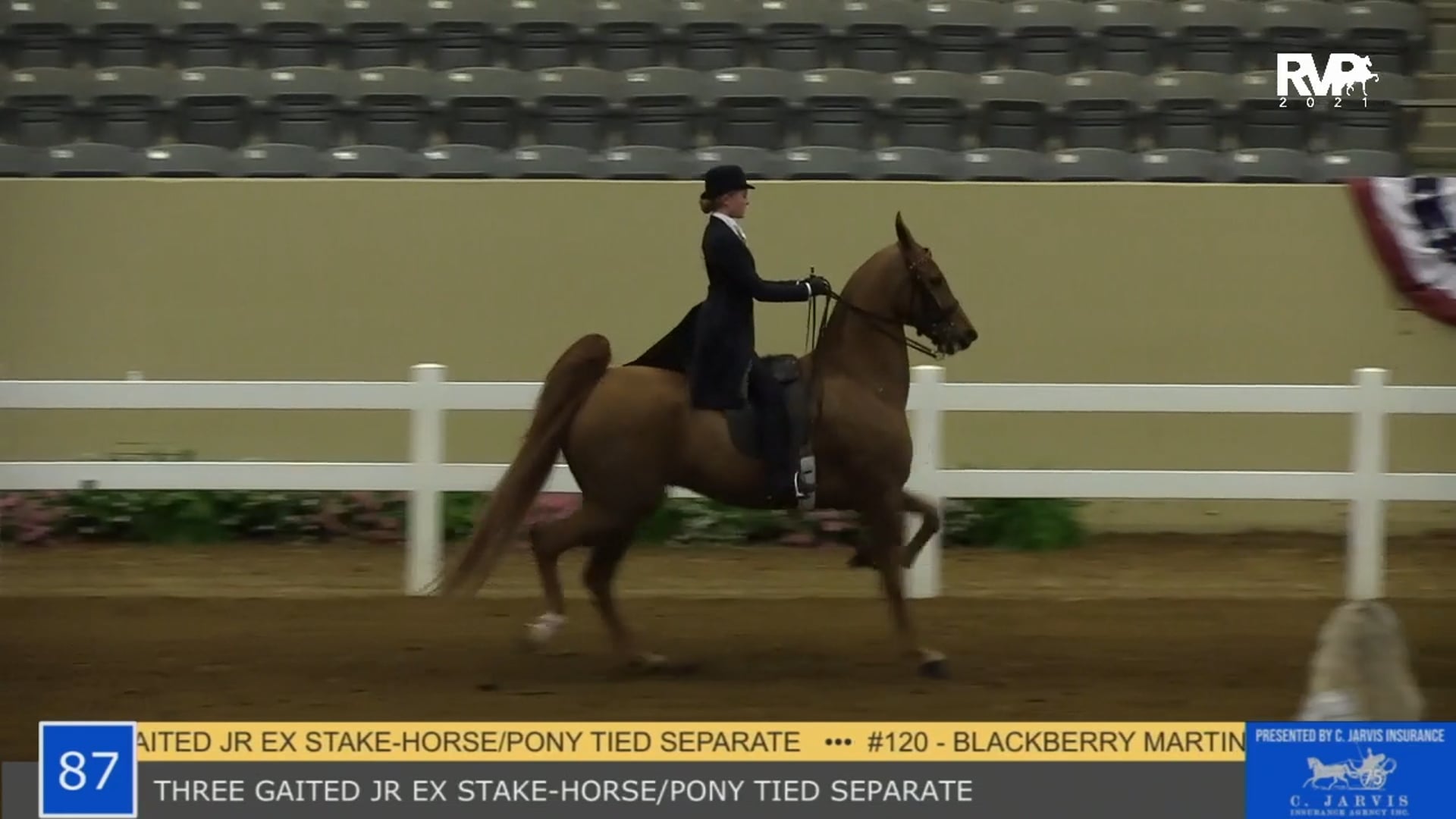 KYSP21- Class 87 - Three Gaited Jr Ex Stake-Horse-Pony Tied Separately 