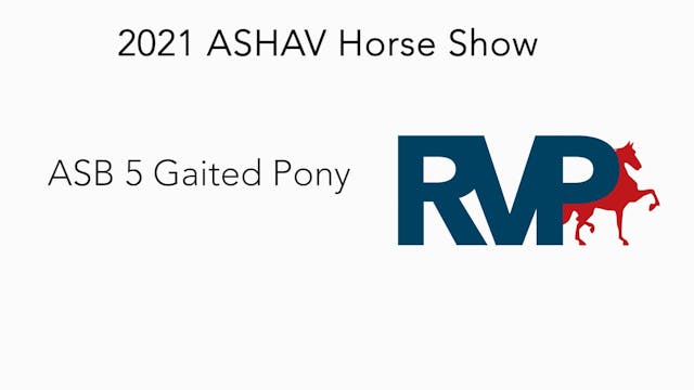 ASHAV21 - Class 49 - ASB 5 Gaited Pony