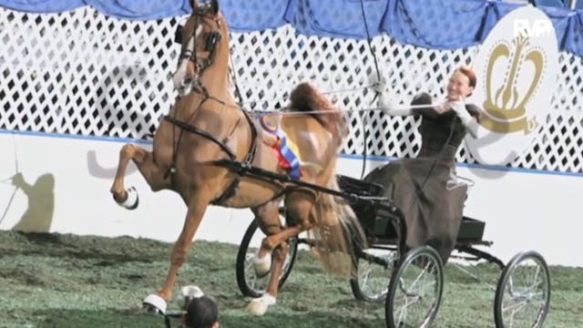 2016 MGN - Coliseum - Wednesday After...