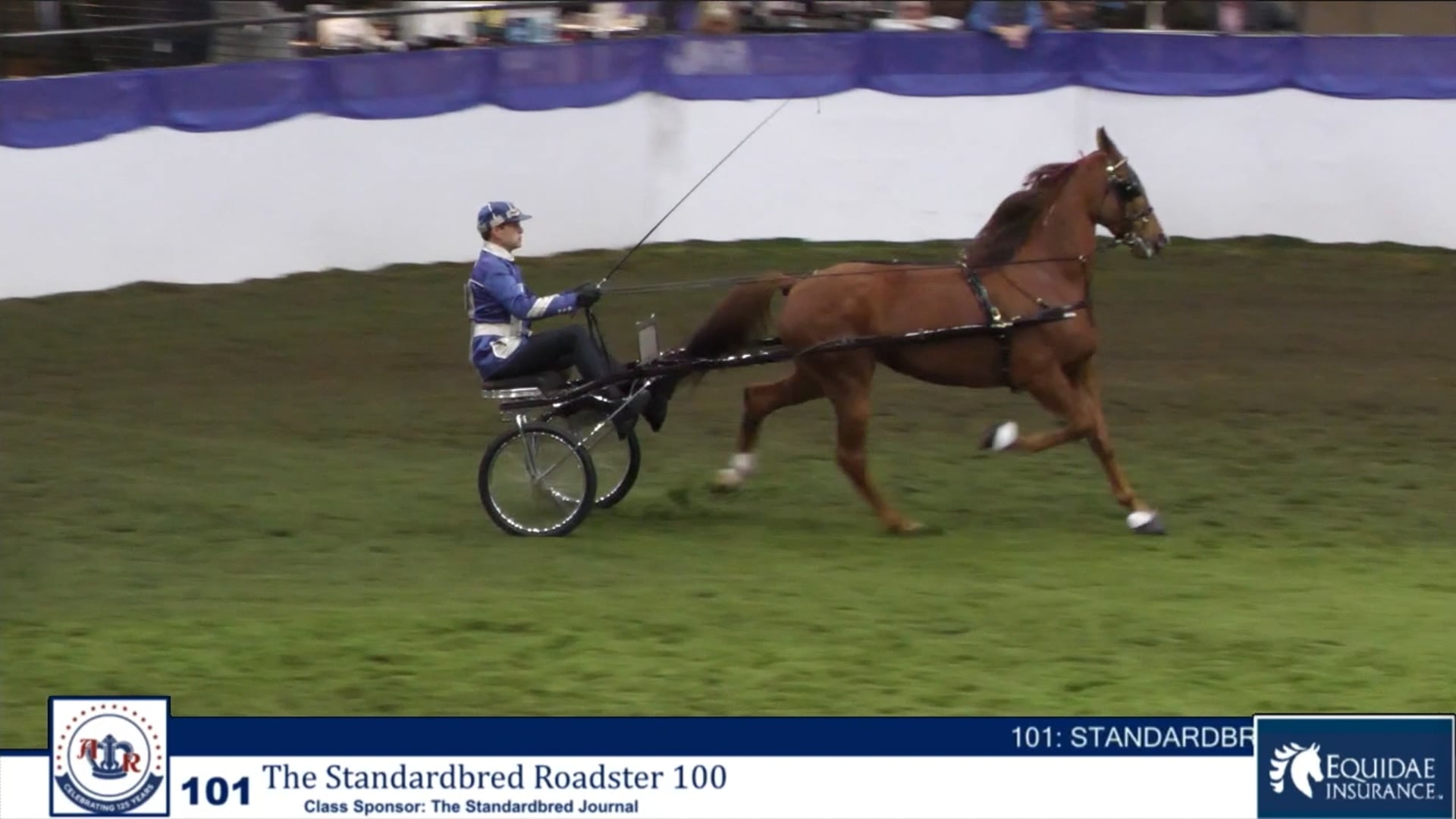 AR24 - Class 101 - The Stardardbred Roadster 100