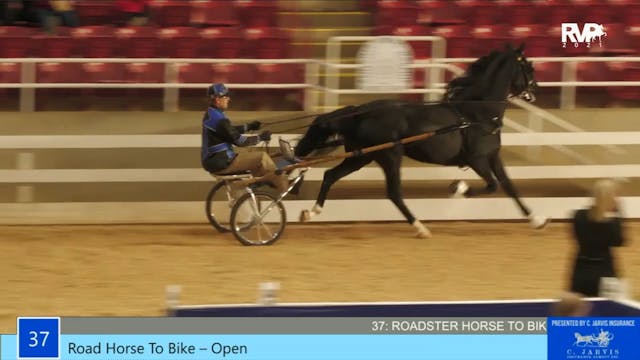 ASW21 - Class 37 - Road Horse To Bike...