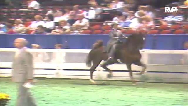 1992 WCHS Class 106 Five Gaited Pony ...