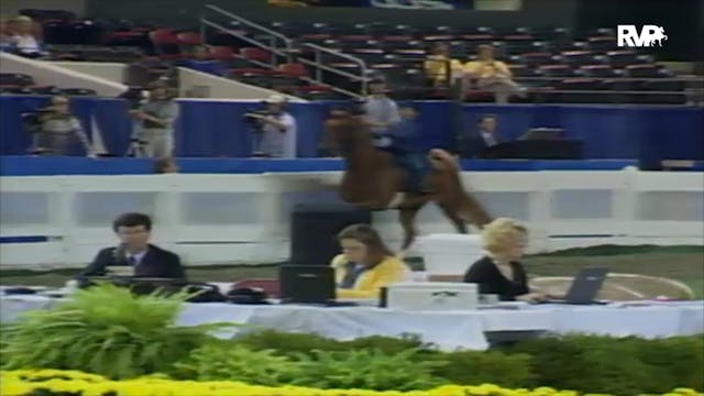 2000 WCHS Class 111 UPHA Walk Trot 8 ...