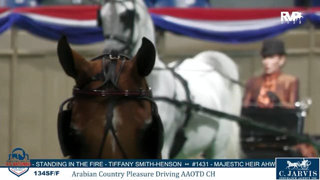 AN25 - Tuesday Afternoon Recap