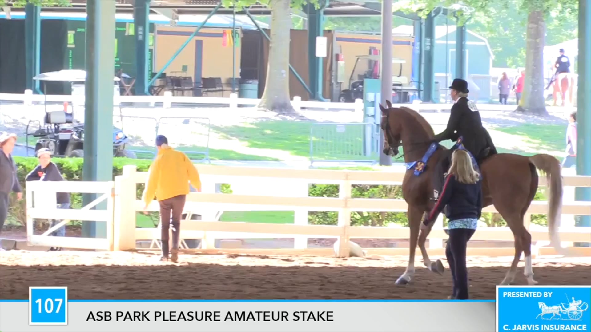 DC17 - Coventry's Starbuck - Championship