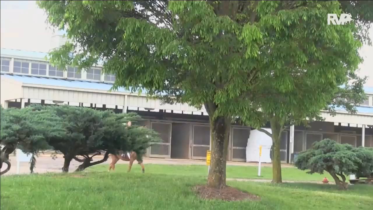 BB16 - Saturday Evening