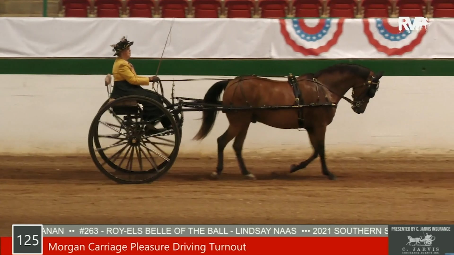 SS21 - Class 125 - Morgan Carriage Pleasure Driving Turnout