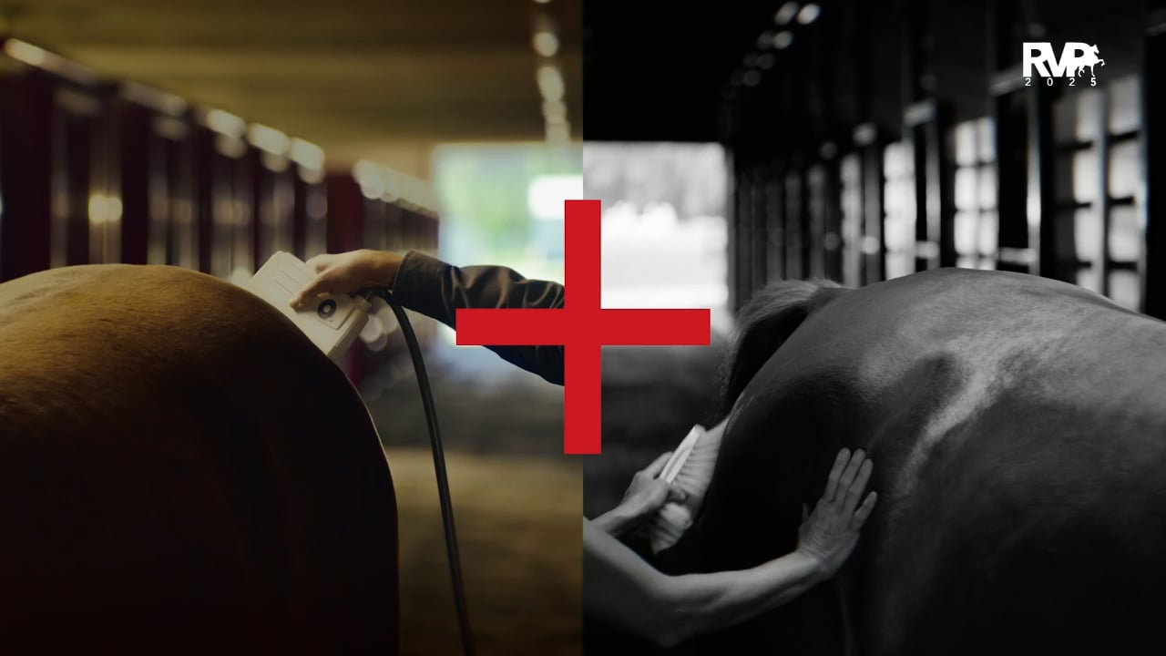 2025 Morgan Grand National - Sunday Morning - Barn 8