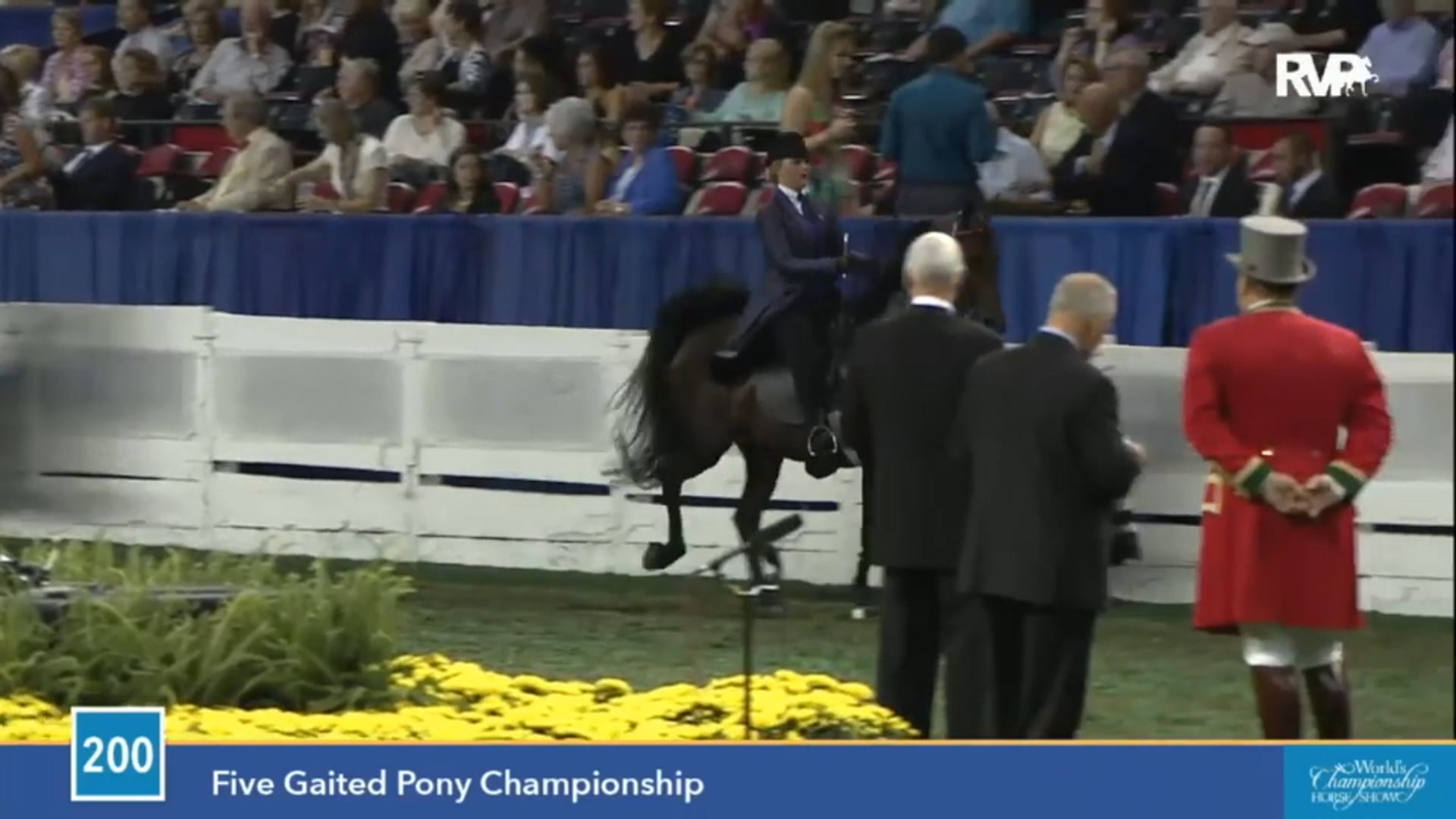 2015 WCHS - Class 200 Five Gaited Pony Championship