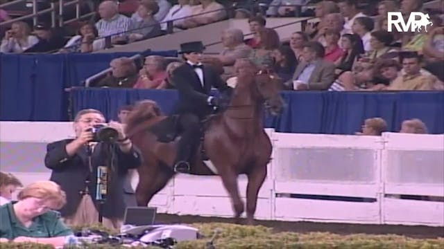 2003 WCHS Class 95 Amateur Three Gait...
