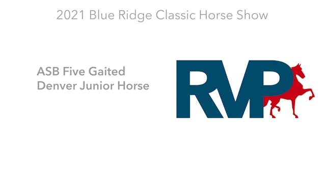 BR21 - Class 110.1 - ASB Five Gaited ...