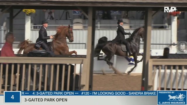 KYSP20 - Class 4 Three Gaited Park Open 