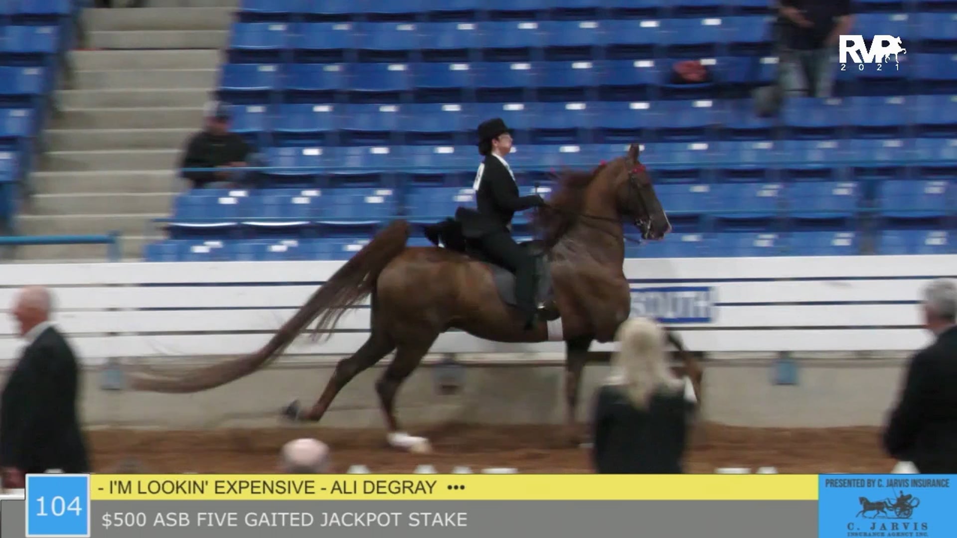 SSSF21 - Class 104 - $500 ASB Five Gaited Jackpot Stake