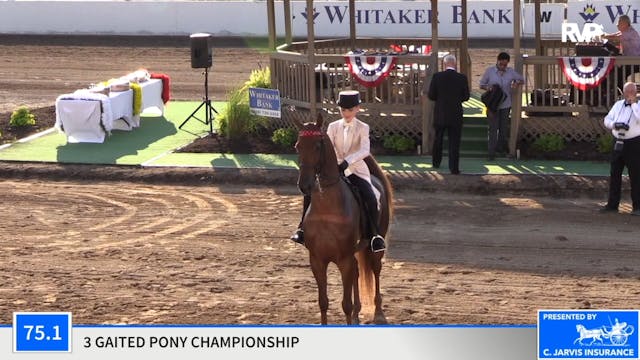 2020 MCF - Class 75.1 Three Gaited Po...