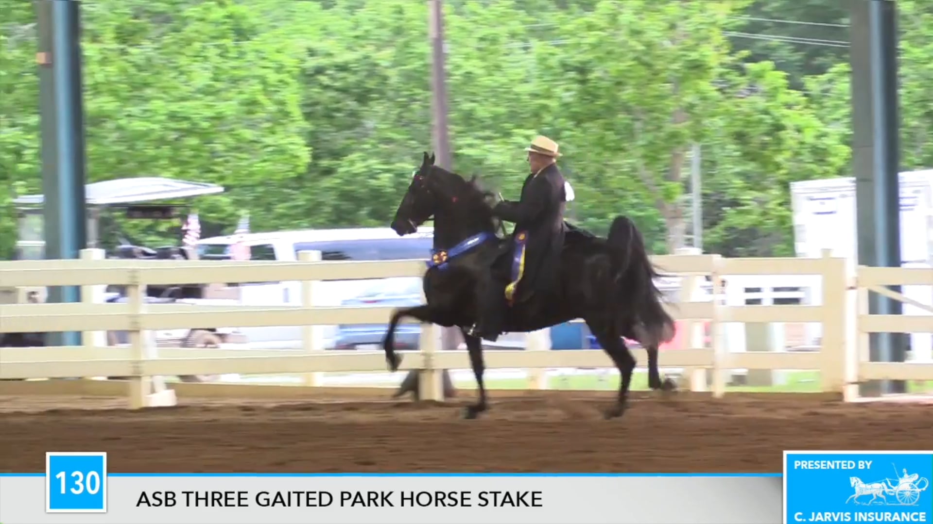 DC17 - The Spotlight Kid - Championship