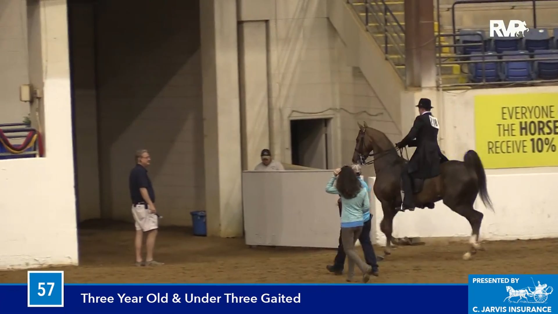 BB16 - Three Year Old & Under Three Gaited Horse