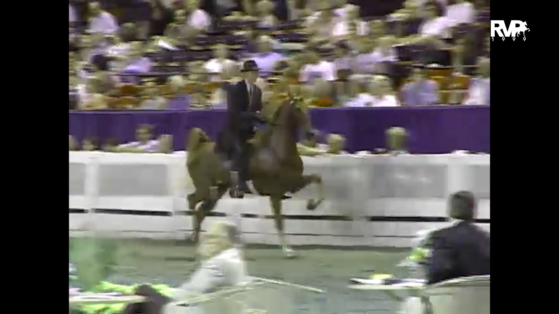 1999 WCHS - Class 205 Two Year Old Three Gaited Stake