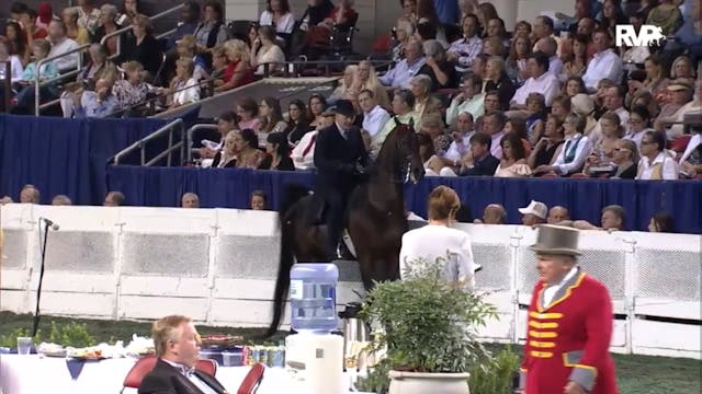 2012 WCHS - Class 148 Three Gaited Ov...