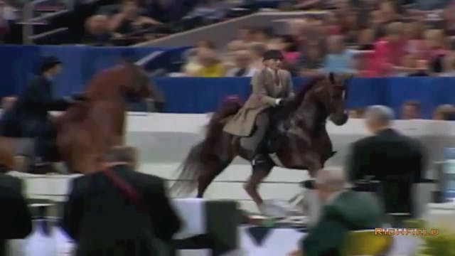 2002 WCHS Class 92 Amateur Five Gaite...
