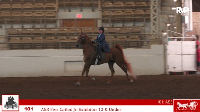 MW24 - Class 101 - ASB Five Gaited Jr...