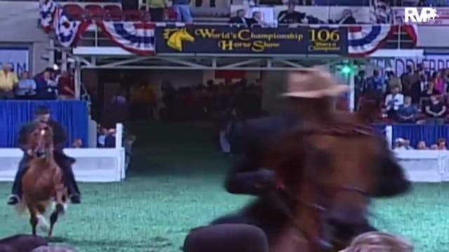 2009 World's Championship Horse Show ...